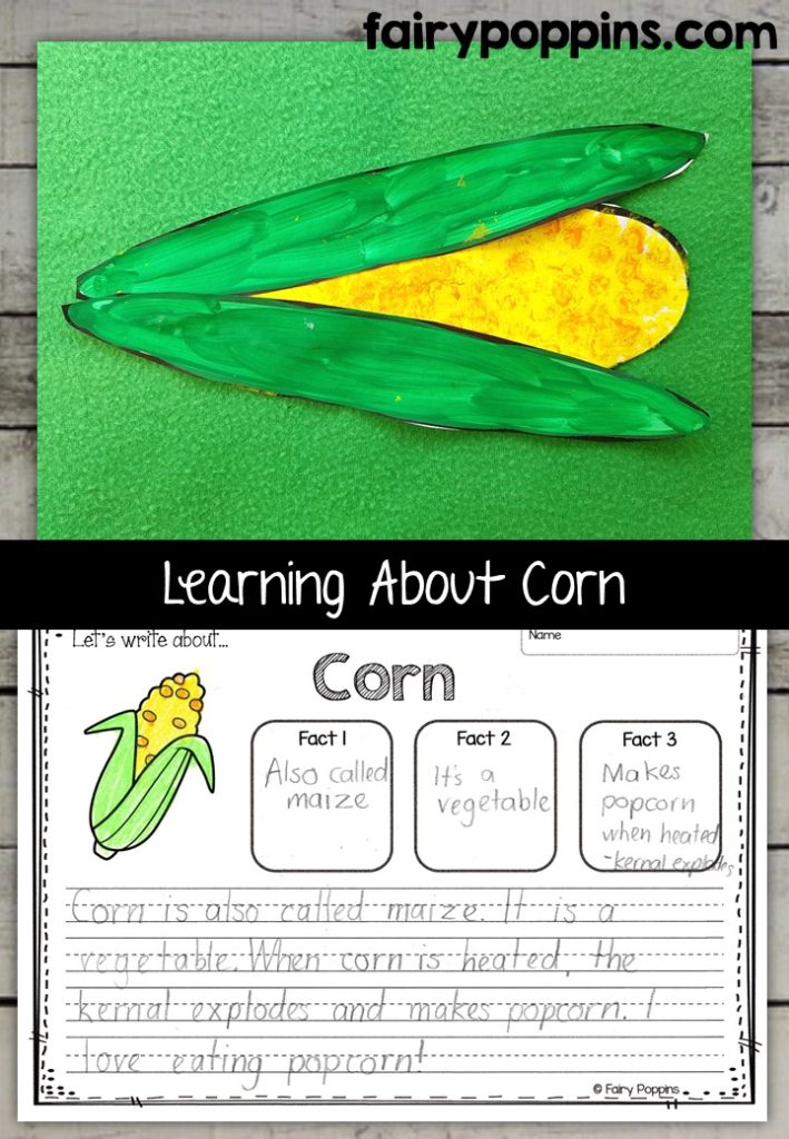 Corn craft template and worksheet activities (labeling, description, writing) - Fairy Poppins