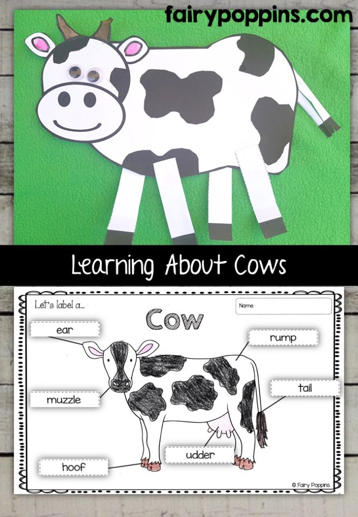 Cow craft template and worksheet activities (labeling, description, writing) - Fairy Poppins