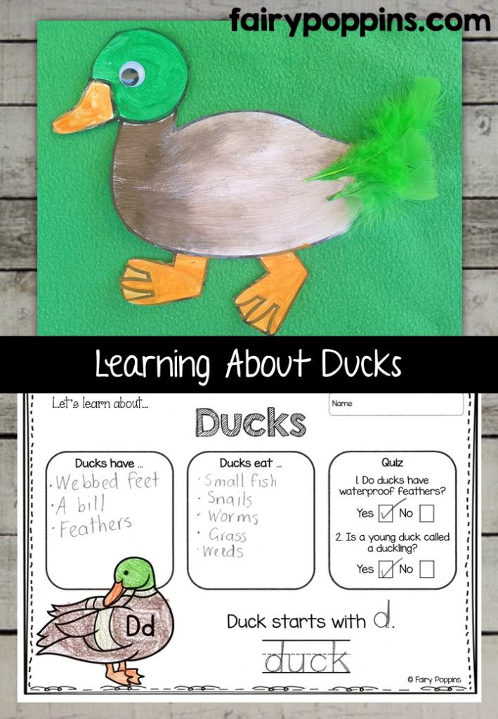 Duck Crafts and Learning Activities