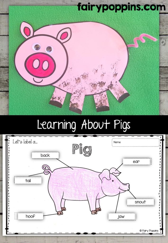 Pig craft template and worksheet activities (labeling, description, writing) - Fairy Poppins