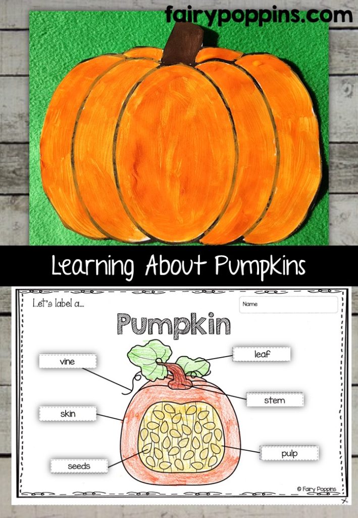 Pumpkin craft template and worksheet activities (labeling, description, writing) - Fairy Poppins