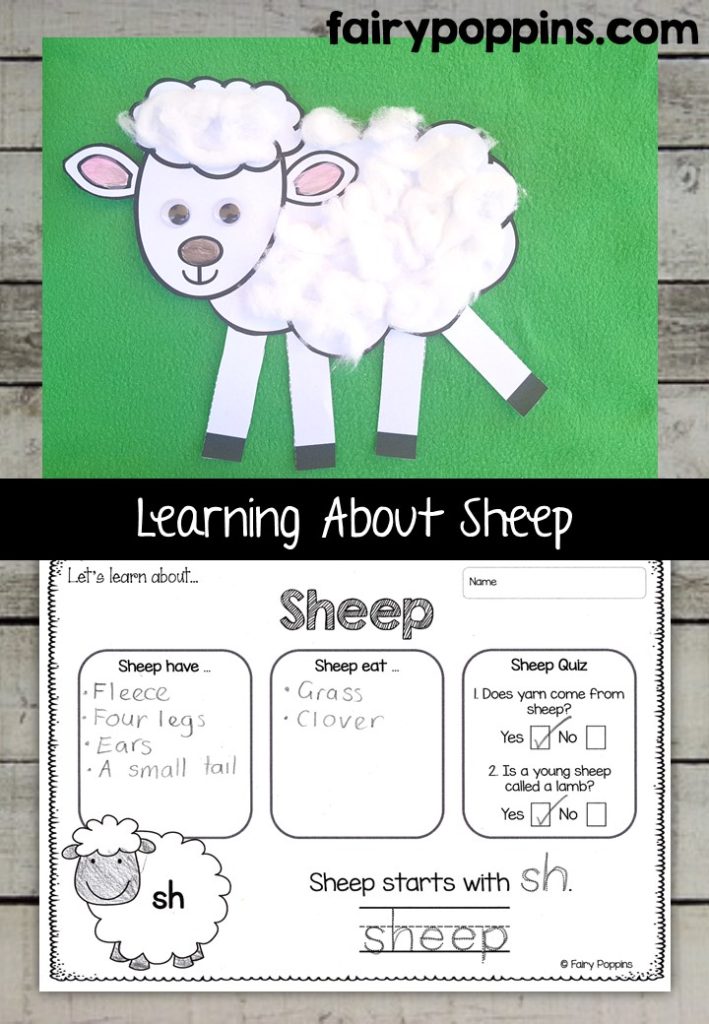 Sheep craft template and worksheet activities (labeling, description, writing) - Fairy Poppins