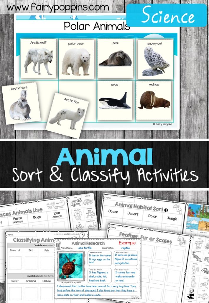 Animal sort and classify labels, mats and worksheet activities ~ Fairy Poppins