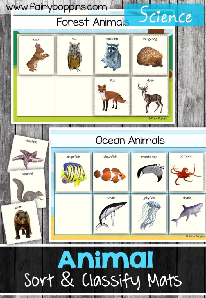 Animal sort and classify labels, mats and worksheet activities ~ Fairy Poppins