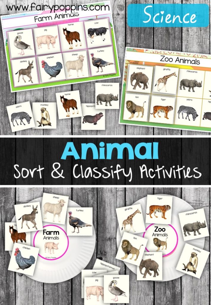 Animal sort and classify labels, mats and worksheet activities ~ Fairy Poppins