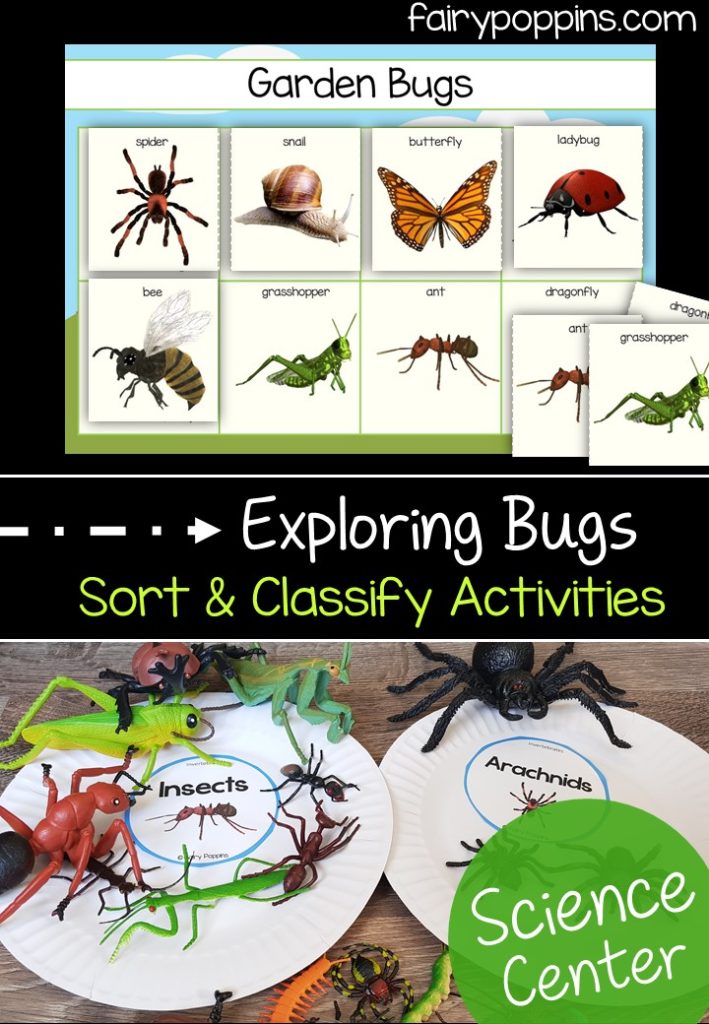 Sort and classify activities for investigating bugs and animals ~ Fairy Poppins