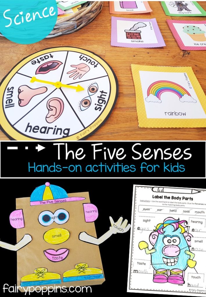 The five senses science worksheets, games and activities - Fairy Poppins