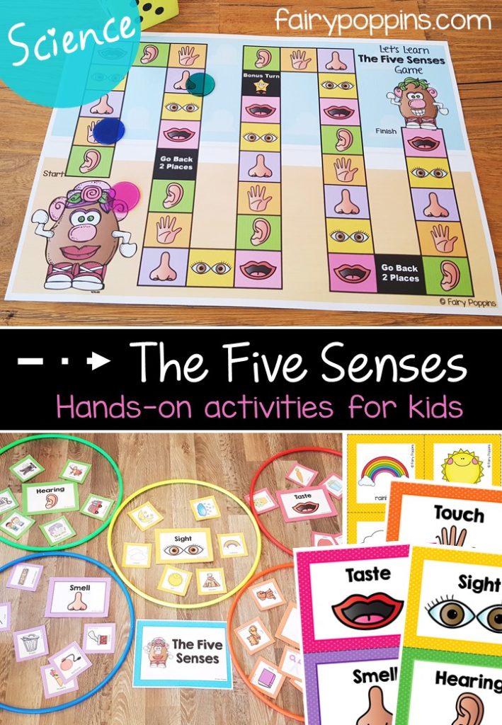 The five senses science worksheets, games and activities - Fairy Poppins