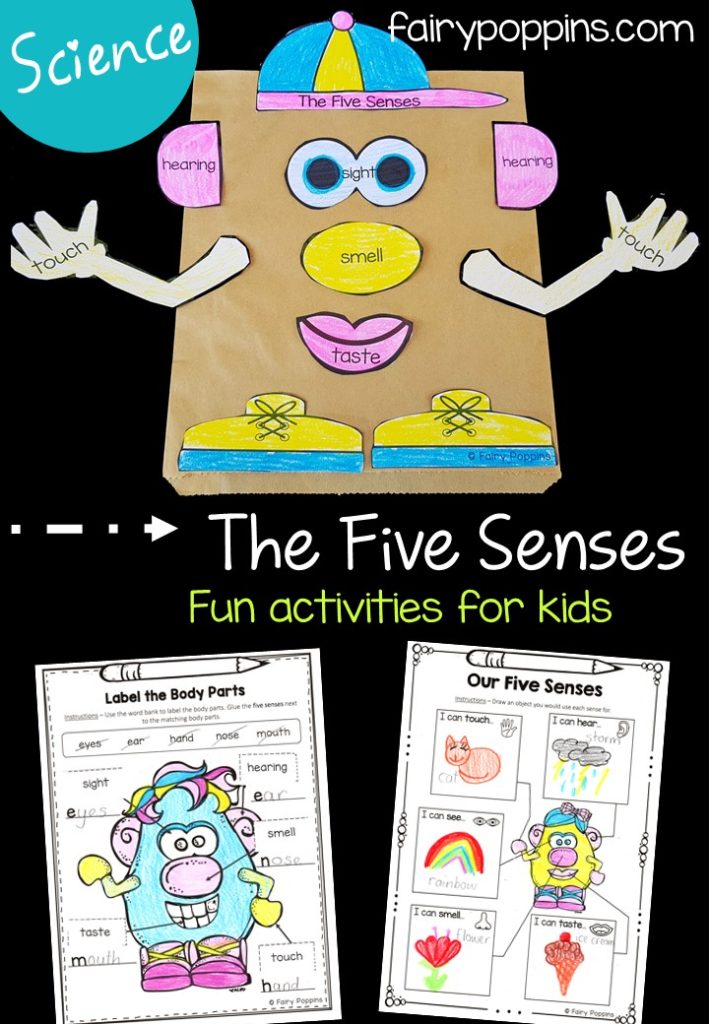 The five senses science worksheets, games and activities - Fairy Poppins