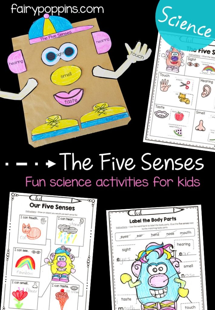 The five senses science worksheets, games and activities - Fairy Poppins