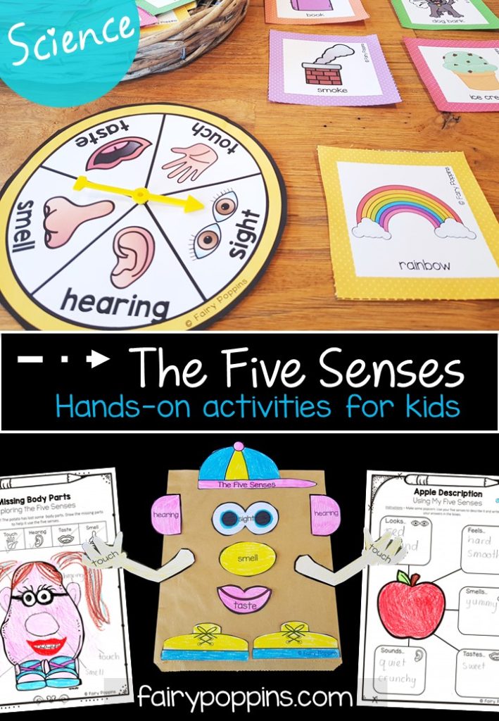 The five senses science worksheets, games and activities - Fairy Poppins