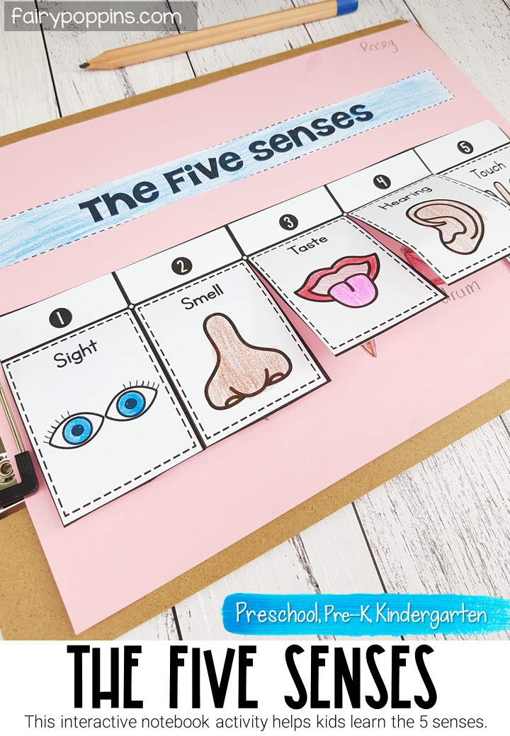 Five Senses Bulletin Board Senses Preschool Five Sens - vrogue.co